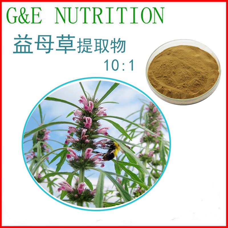 500g 益母草提取物粉10:1 益母草粉 天然植物提取物 包邮