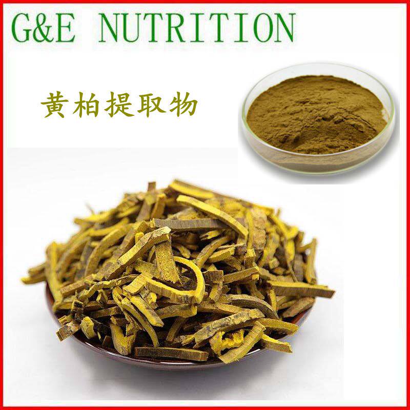 500g 黄柏提取物10:1 天然植物提取物 黄柏粉 量大优惠