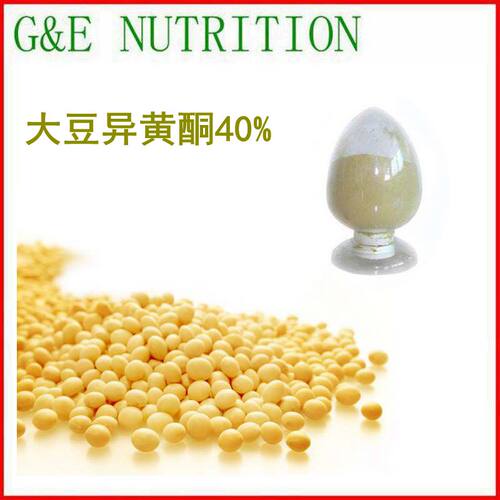 500g 天然大豆胚芽提取物 大豆异黄酮40% 现货包邮