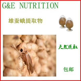 500g 纯天然雄蚕蛾提取物10:1 雄蚕蛾粉 厂家直销 质量保证 包邮