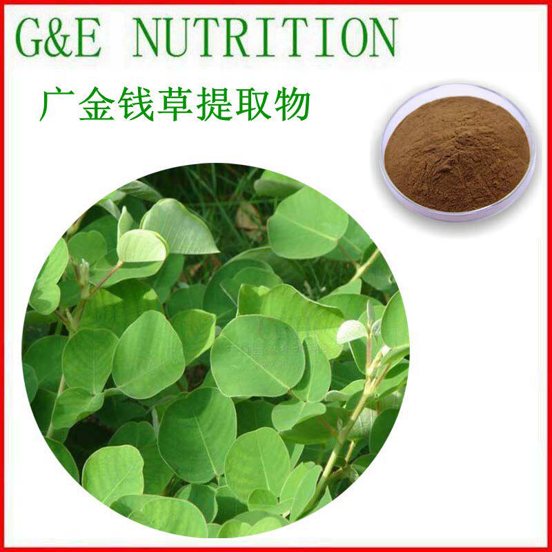 500g 天然广金钱草提取物 10:1 浓缩粉末 量大优惠