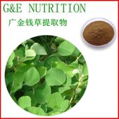 天然广金钱草提取物 500g 浓缩粉末 量大优惠
