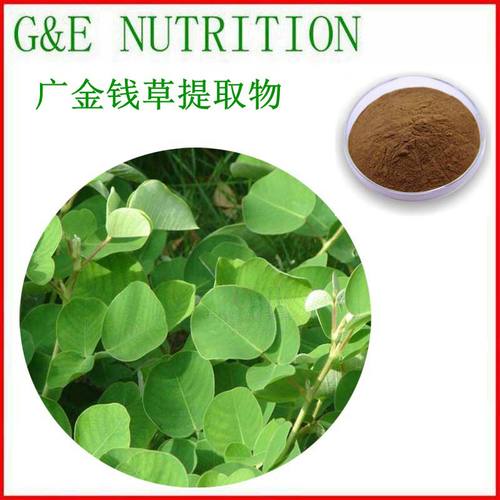 500g 天然广金钱草提取物 10:1 浓缩粉末 量大优惠