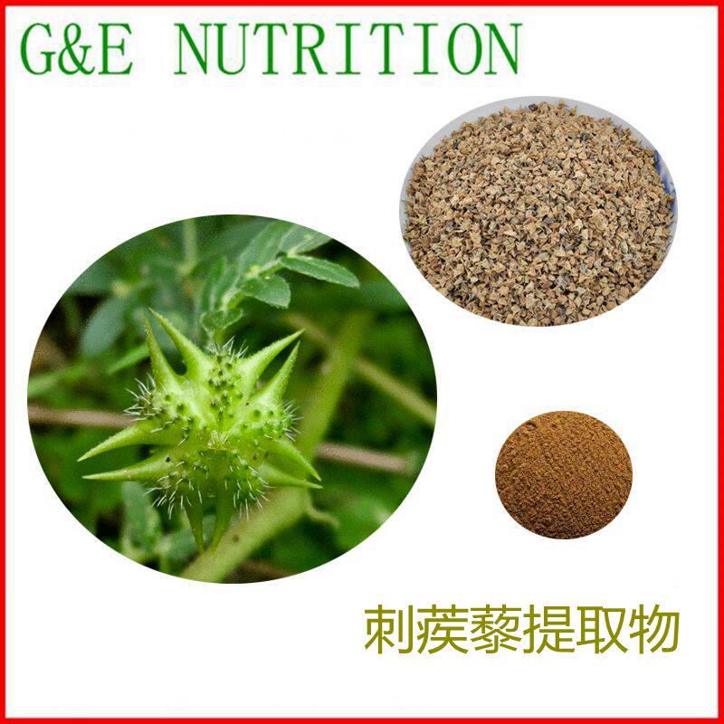 500g 刺蒺藜皂甙90% 刺蒺藜提取物 免煎 纯天然提取 包邮