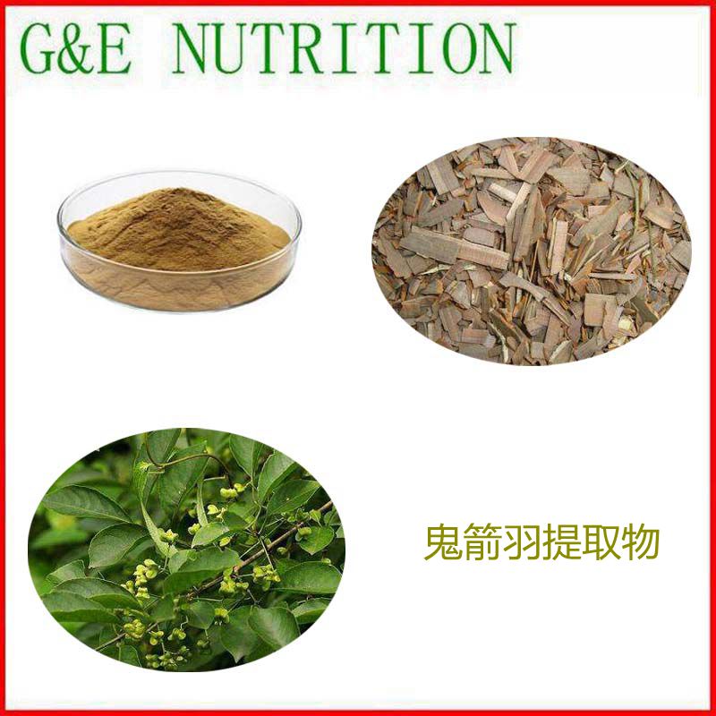 500g 纯天然 鬼箭羽提取物 10:1 植物浓缩粉 量大优惠 包邮