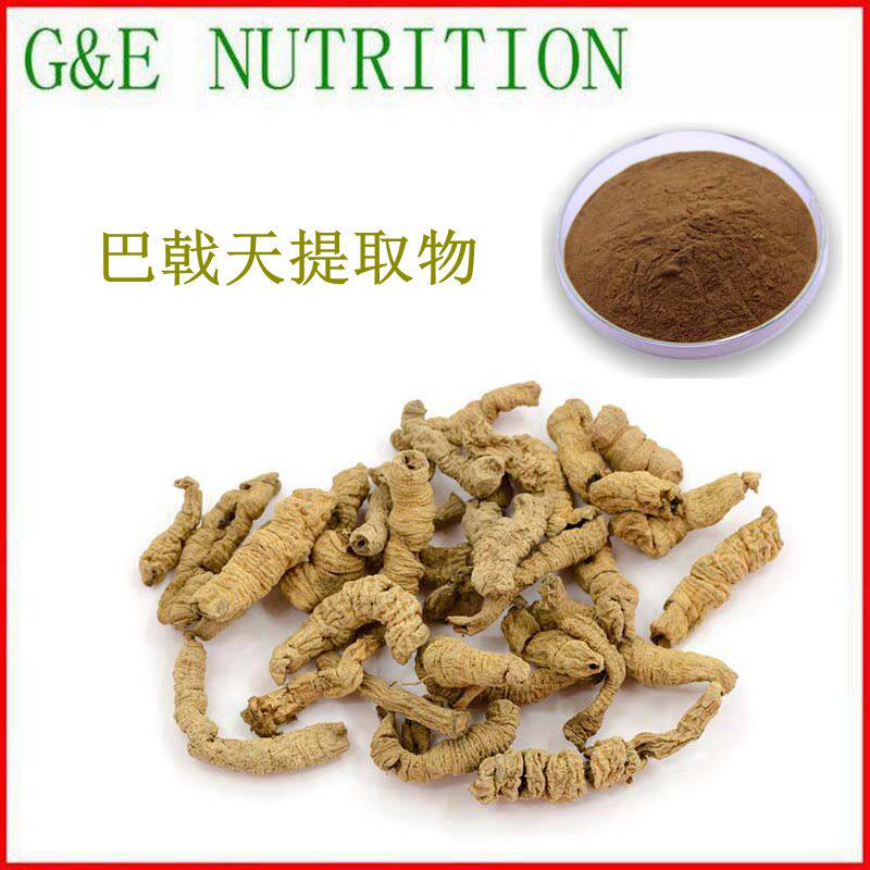 工厂直销 巴戟天提取物10:1 巴戟天粉 现货包邮 500g