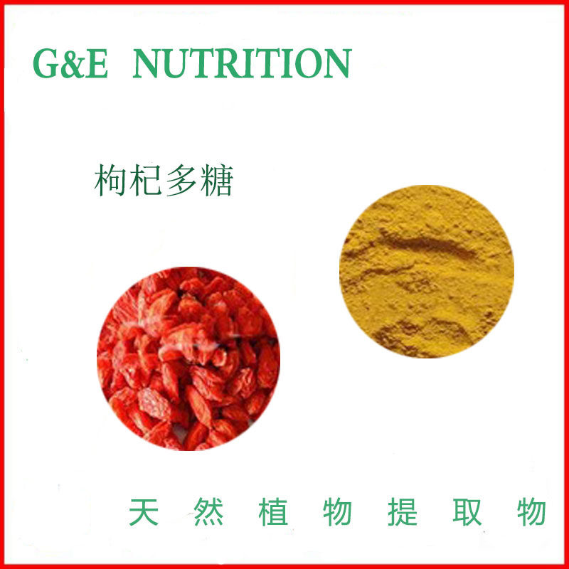 500g 纯天然枸杞提取物 枸杞多糖50%/枸杞提取物枸杞