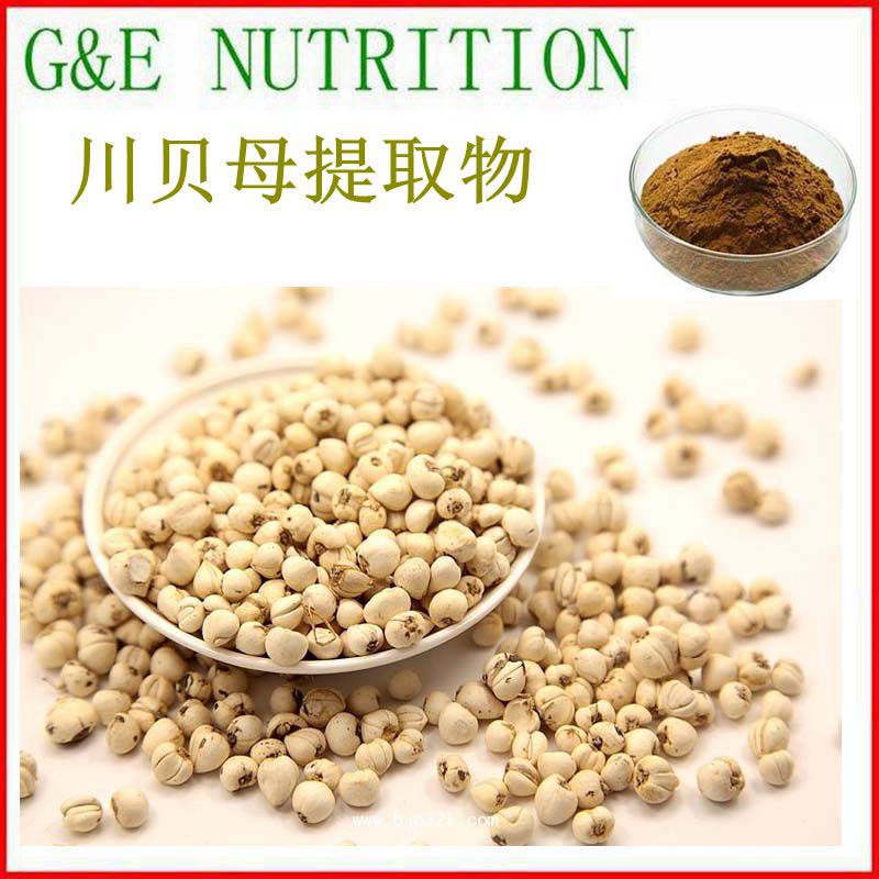 川贝母提取物浓缩粉 10:1 川贝母粉100克/袋 天然植物提取物 包邮