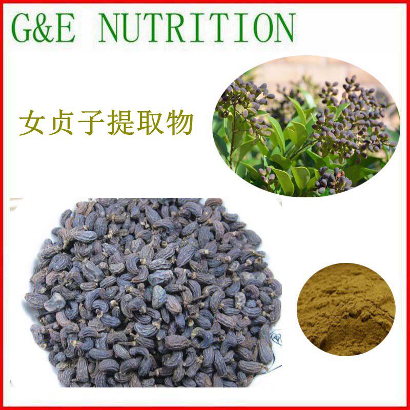 500g 女贞子提取物 10:1含量  纯天然 女贞子提取物