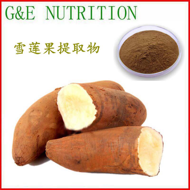 500g 纯天然雪莲果提取物 植物浓缩粉 现货包邮 10:1