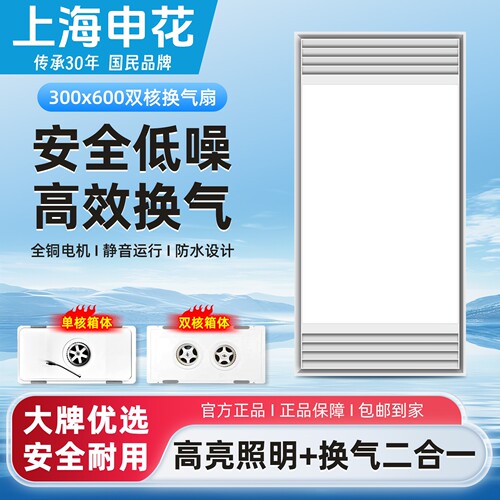 申花照明+换气二合一30X60