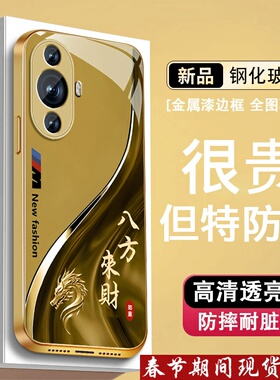 来财生肖适用华为nova11手机壳nova11pro新款11seultra金属漆玻璃por全包hi防摔nave男nowa高级感商务外壳潮