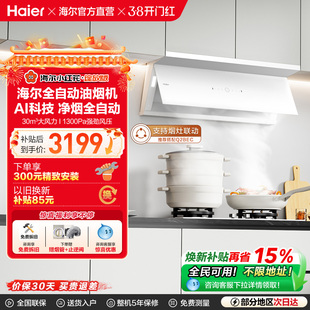 海尔小红花抽油烟机家用厨房大吸力吸油烟机燃气灶全自动C50Max