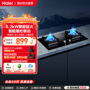 海尔燃气灶煤气灶家用双灶天然气灶台厨房家用烟灶联动灶具Q2BE58