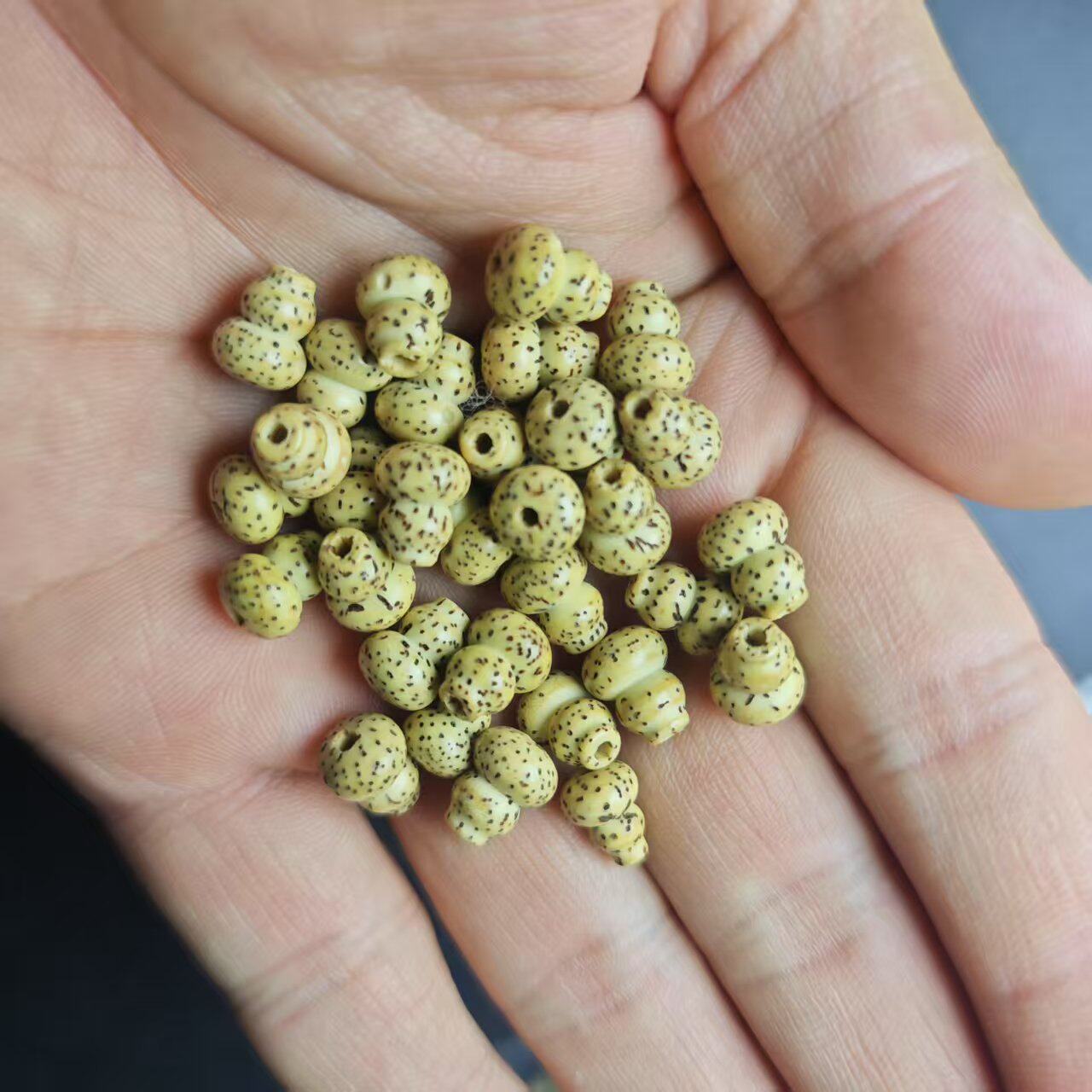 纯天然星月菩提子葫芦配饰件散珠文玩diy创意手串项链福禄寿国庆