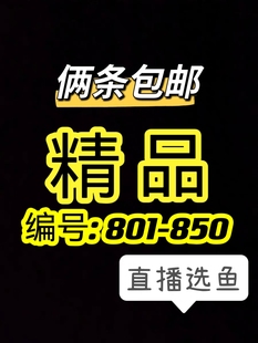 精品801-850鱼泰国斗鱼活鱼包邮淡水鱼将军半月热带观赏巧泓泰斗