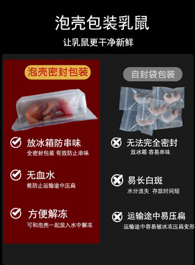冷冻乳鼠小老鼠幼鼠冰冻小白鼠独立包装喂蛇喂猫喂龟湖南发货