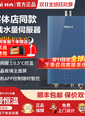 Rinnai/林内 RUS-16E65G-GL恒温APP控制E65强排式16升燃气热水器