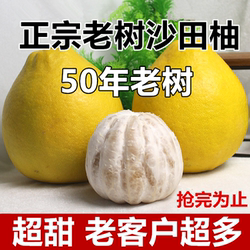 沙田柚正宗广西阳朔沙田柚纯甜白肉金柚心蜜柚小甜柚子水果批发价
