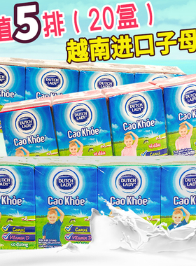 越南进口子母奶DUTCH LADY儿童甜牛奶110ml*20盒营养早餐奶饮品