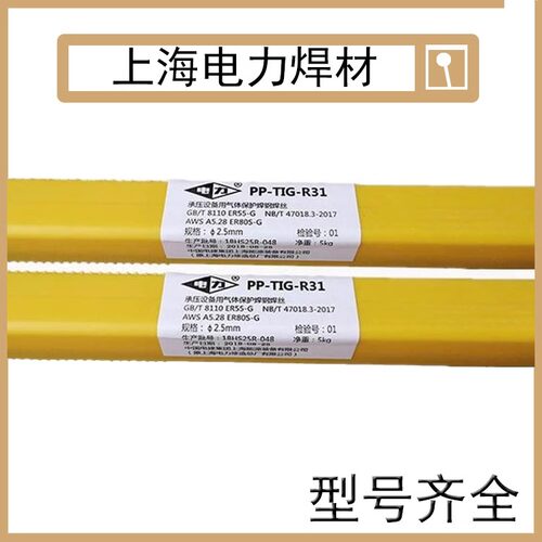 PP-MG55-1CM耐热钢焊丝上海电力