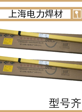 上海电力PP-H08CrMoVA H08CrMoA TIG-J50 H08Mn2SiA氩弧焊丝2.0