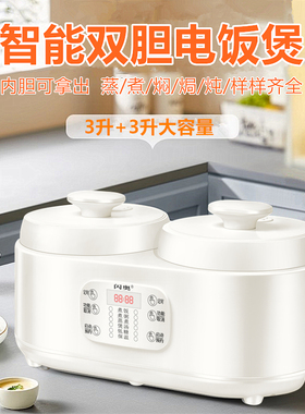 智能双胆双控电饭煲家用大容量3L升电饭锅两个煮饭煲汤多功能预约