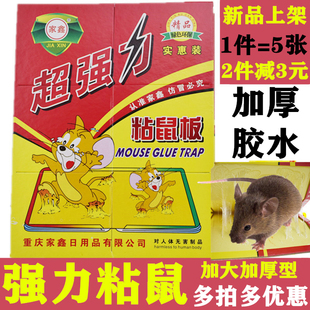 家鑫牌粘鼠板超强力驱老鼠贴灭鼠抓老鼠夹药捕鼠器黏老鼠胶沾鼠