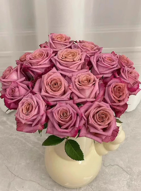 新品咖啡师/调香师小苗扦插阳台庭院盆栽地栽好养花卉月季苗