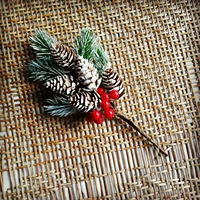 Большой фруктовый кедр