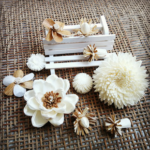 干花森系diy手工干花自然花朵手工素材zakka玫瑰玉兰木片花蝴蝶花