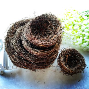 森系DIY手工素材壁挂装饰ZaKKa土茯苓永生花手编 绿苔 鸟蛋 鸟窝
