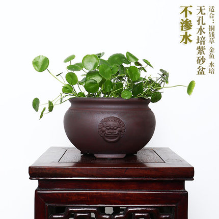 无孔紫砂花盆水培铜钱草金鱼缸水仙花荷花茶几桌面摆设不渗水原色