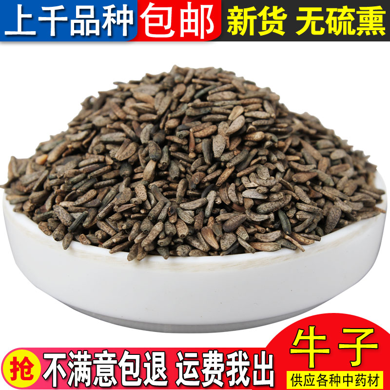 野生中药材牛蒡子 大力子 牛子 鼠黏子 恶实 黍粘子 毛然然子包邮