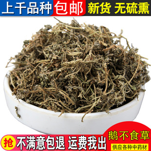 野生中草药 鹅不食草 精选鹅不食草粉 饿不吃草 中药材 500克包邮