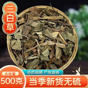 新货野生无硫三白草中药材天性草三百草塘边藕 白花莲白面姑 500g