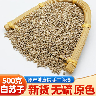精选中药材 新货无硫 白苏子 玉苏子 荏子 500克 玉竹子 苏籽包邮