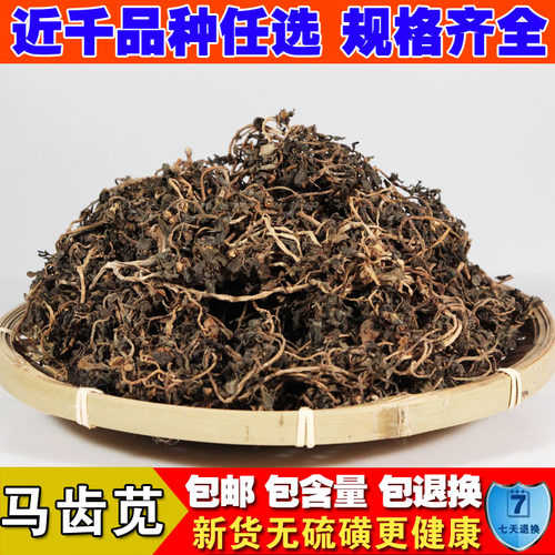 整株马齿苋菜500克新鲜