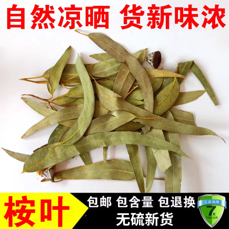 中药材 桉树叶 桉叶 大叶桉 按树叶 橡树叶 蓝绿桉叶 500克包邮