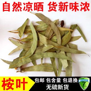 中药材 桉树叶 桉叶 大叶桉 按树叶 橡树叶 蓝绿桉叶 500克包邮