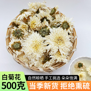 正品白菊500g黄山干菊花茶 另售野生胎菊金丝皇菊婺源黄非贡菊
