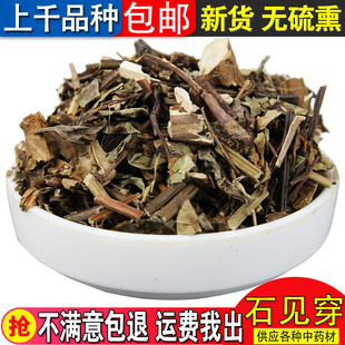 中药材 野生石见穿 石打穿 紫参 月下红 华鼠尾草 500克 包邮