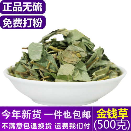新货金钱草500克大叶金钱草