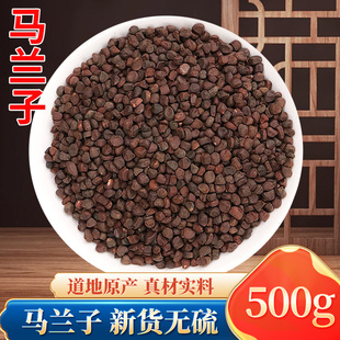 中药材马兰子500g新货马蔺子马兰子庵闾子马莲子马楝子马帚子包邮