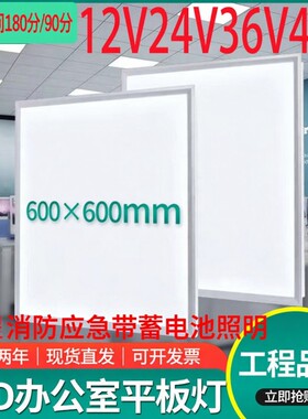 低压平板灯交直流24V36V48v灯