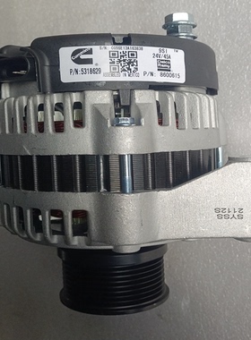 康明斯5318629发电机德科9SI系列8600615充电机压路机发电24V45A