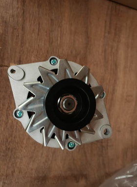 8TA3025CS发电机8RF3013发电机24V16A110221充电机502416VPA发电