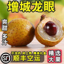 增城龙眼新鲜石硖储良现摘现发特级储良一级水果广东整箱10斤大果