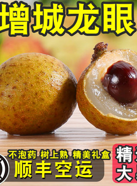 增城龙眼新鲜石硖储良现摘现发特级储良一级水果广东整箱10斤大果