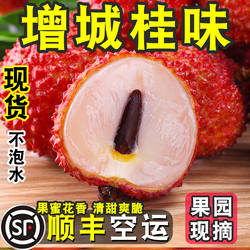 【正宗增城桂味荔枝】顺丰空运现摘现发甜度高老树礼盒新鲜甜大果